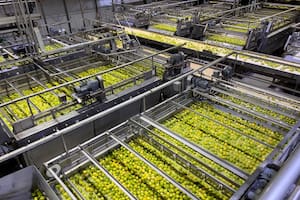 Preocupación de industrias del agro del norte por el abastecimiento en un momento crítico