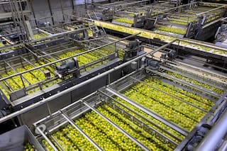 Preocupación de industrias del agro del norte por el abastecimiento en un momento crítico