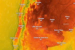 Cómo prevenirlo y qué hacer ante las altas temperaturas que rigen en Buenos Aires
