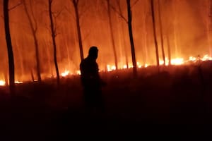 El multimillonario costo de los incendios forestales