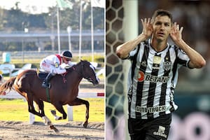Sea Wolf, el potrillo de Ignacio Fernández, la estrella del Atlético Mineiro, de Brasil