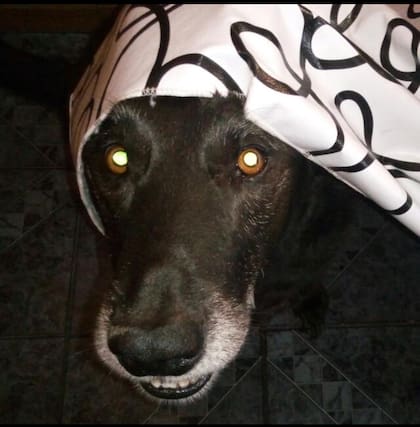 Sebastián partió el 25 de noviembre de 2021.