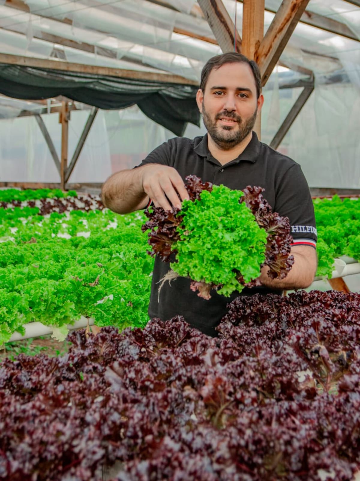 O prefeito, que disse aos vizinhos para começarem, tinha uma série de aberturas de negócios O prefeito, que disse aos vizinhos para começarem, tinha uma série de aberturas de negócios