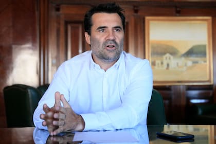 El secretario de Energía, Darío Martínez, dijo que se avanzará en la segmentación.