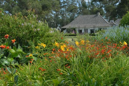 Sector de colores cálidos del jardín de flores, con achiras, hemerocalis y crocosmias.