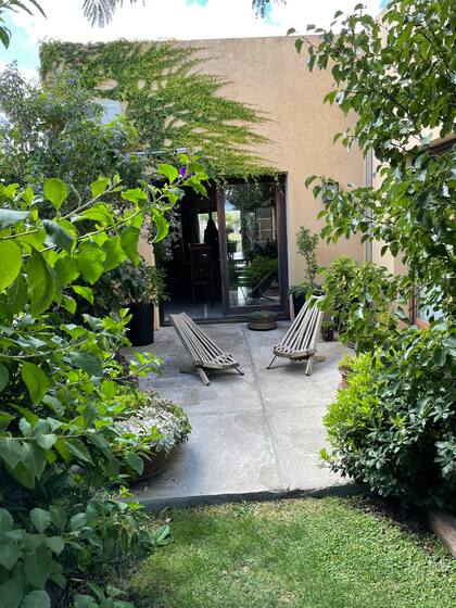 Sector de macetas y descanso. En ellas hay crasas, un kinoto y jazmines del Cabo que no resultaron plantados directamente en el suelo, decisión que tomó Adrián luego de varios intentos fallidos