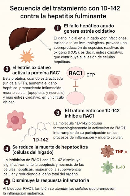 Secuencia del tratamiento