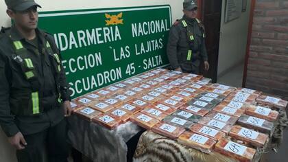 Secuestran 73 kilos de cocaína en Salta