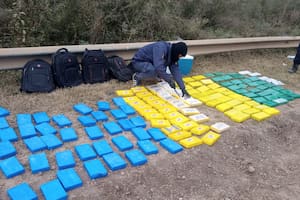 Fue uno de los narcos más buscados, estaba en libertad condicional y ahora cayó con 260 kilos de cocaína