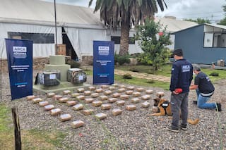 Intento de contrabando: enviaban 55 kilos de marihuana como falsas encomiendas a todo el país