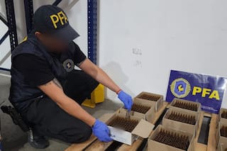 La Policía Federal recuperó más de 82.000 ampollas de fentanilo contaminado