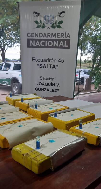 Secuestro de 195 kilos de cocaína en Salta
