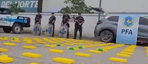 Decían que llevaban hojas, pero escondían un millonario cargamento de cocaína