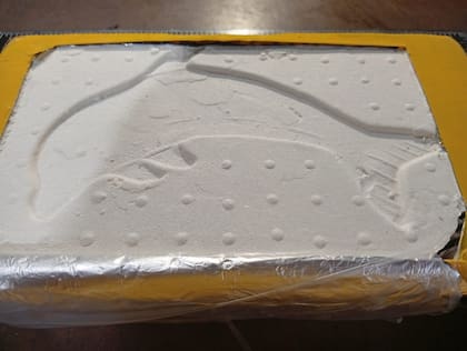 Secuestro de 240 kilos de cocaína en Tucumán