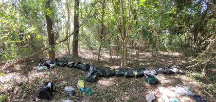 Secuestro de 431 kilos de cocaína en Salta