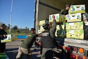 Secuestro de 444 kilos de cocaína en Monte Grande