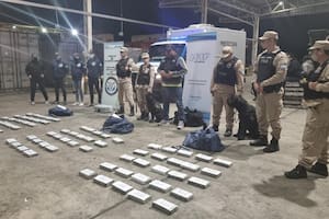 Encuentran 78 kilos de cocaína ocultos en un cargamentos de semillas de chía