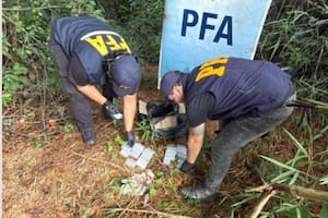 Encontraron una encomienda con casi 300 ampollas de fentanilo ocultas en el monte misionero