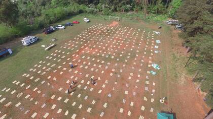 Secuestro de casi nueve toneladas de marihuana en Misiones