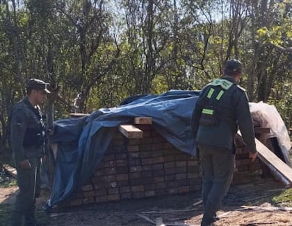 Secuestro de dos toneladas de marihuana ocultas en vigas de madera, en Misiones