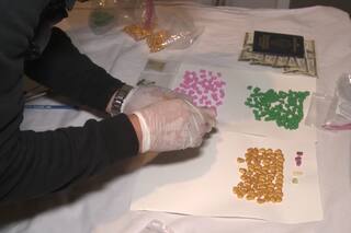 Detenidos en Villa Luro: dos dealers vendían drogas sintéticas a través de redes sociales