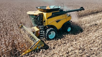 Según Agricultura en maíz se recolectarán 70 millones de toneladas
