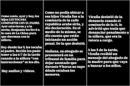 Según Ángel de Brito, tras no poder ver a sus hijos, Vicuña se acercó a la comisaría y dio declaración