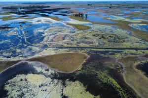 Con 5,8 millones de hectáreas afectadas, la inundación en Buenos Aires ya es la “más grave en 10 años”