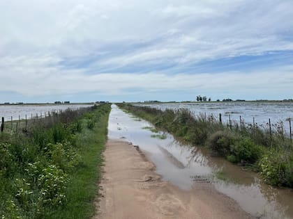 Según contó Ginestet, la situación ya venía siendo muy compleja desde marzo por las inundaciones