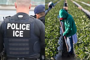 Según cosingó Pew Research Center, entre enero y junio de 2025, el número de inmigrantes que vivían y trabajaban en Estados Unidos disminuyó