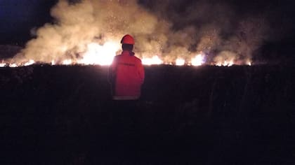 Según destacó Gustavo Frederking, presidente de la Sociedad Rural de Junín, la sequía que viene desde el verano afecta al partido. Foto Gentileza