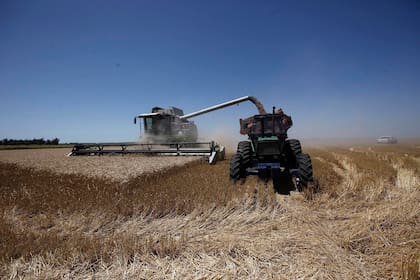 Según dijeron, el protocolo firmado permitirá el inicio de las exportaciones de trigo de la Argentina a China