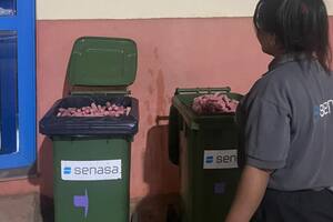 Decomisaron más de 100 kilos de salchichas brasileñas y alertan sobre un riesgo