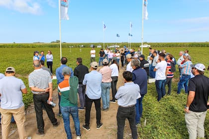 Según dijeron, este esquema de articulación permite responder a las necesidades del sector productivo, orientar la investigación hacia demandas reales y acelerar la transferencia tecnológica al campo