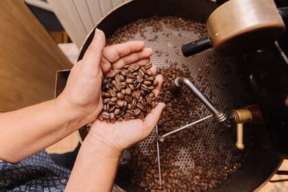 Según el Coffee Master de Café Martínez, los argentinos aprecian los sabores amargos gracias al mate