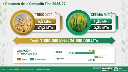 Según el economista, la campaña de trigo alcanzaría los 21,3 millones de toneladas