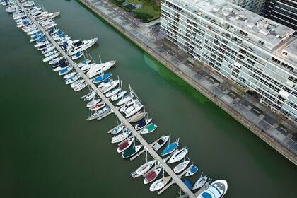 Según el gobierno porteño, la causa del color verde en las aguas de Puerto Madero, se debe a la floración de algas
