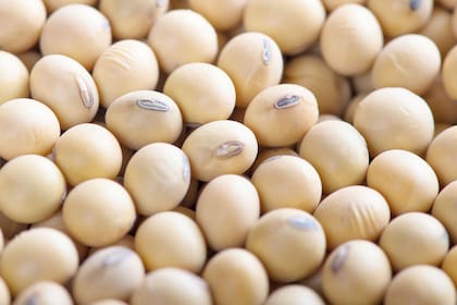 El Inase es uno de los pocos organismos superavitarios