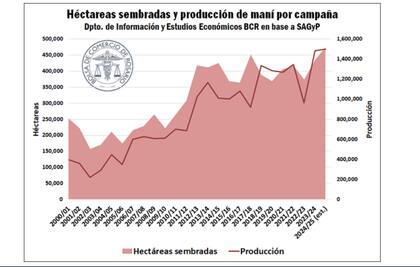 Según el informe de la Secretaría de Agricultura, en la campaña 2024/25 se implantaron aproximadamente 473.976 hectáreas de maní en el país, superando en un 9% a las siembras de la campaña previa y registrando un récord absoluto de área