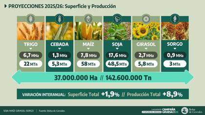 Según el informe, la superficie destinada a los cuatro cultivos de mayor peso alcanzará 29 millones de hectáreas
