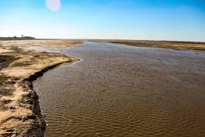 Según el INTA, “el evento El Niño que acompañó gran parte de la campaña 2023-24 con un mejor régimen de lluvias no logró recuperar las reservas naturales de agua y embalses y agrava esta situación que nuevamente se ha iniciado la primavera con déficit y atraso en las precipitaciones en toda la cuenca, lo que ha sido también una constante de las últimas cinco campañas agrícolas"