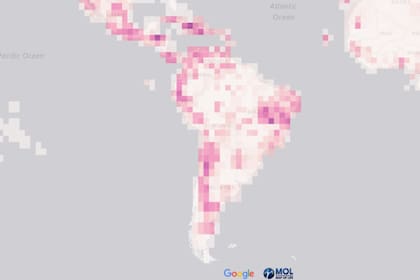 Según el mapa de las especies desconocidas, regiones como Sudamérica, África y el Sudeste Asiático son lugares con mayor probabilidad de hallar nuevos animales