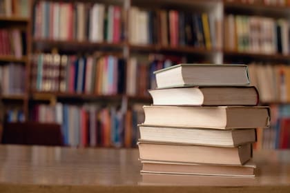 Cada 24 de agosto se celebra el Día del Lector