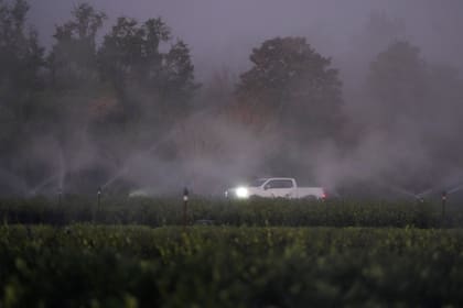 Según el Servicio Meteorológico Nacional, el patrón comenzará a modificarse a partir de mitad de semana