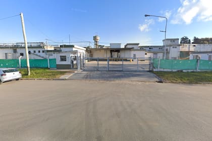 Según el último informe bovino mensual de la Secretaría de Agricultura, el frigorífico faenó 96.450 cabezas durante el 2025