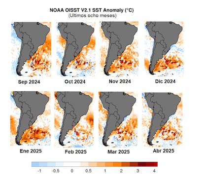 Según Elorriaga, todos concuerdan en mostrar un calentamiento evidente, o sea una mancha roja en las costas del Río de La Plata y de Sudamérica hasta octubre del 2025