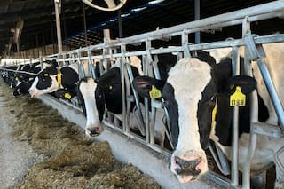 Un tambero paga hasta 37 impuestos y el 42% de sus ventas se va en tributos