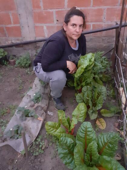 Según especialistas, la huerta puede ser una estrategia para combatir la inseguridad alimentaria, pero no la única