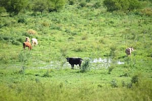 Según explicaron en CRA y Farer, del levantamiento de esta restricción "dependen el desarrollo económico y la permanencia de la población en el territorio insular”