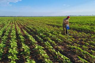 Elaboraron un mapa de la salud de un recurso clave y varios datos son preocupantes